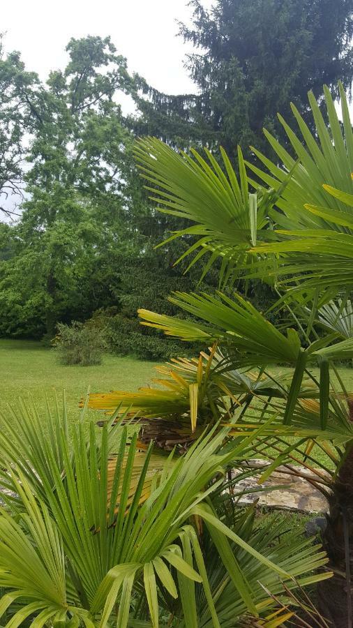 La Belle Chaumiere Bed & Breakfast Bretagne-de-Marsan ภายนอก รูปภาพ